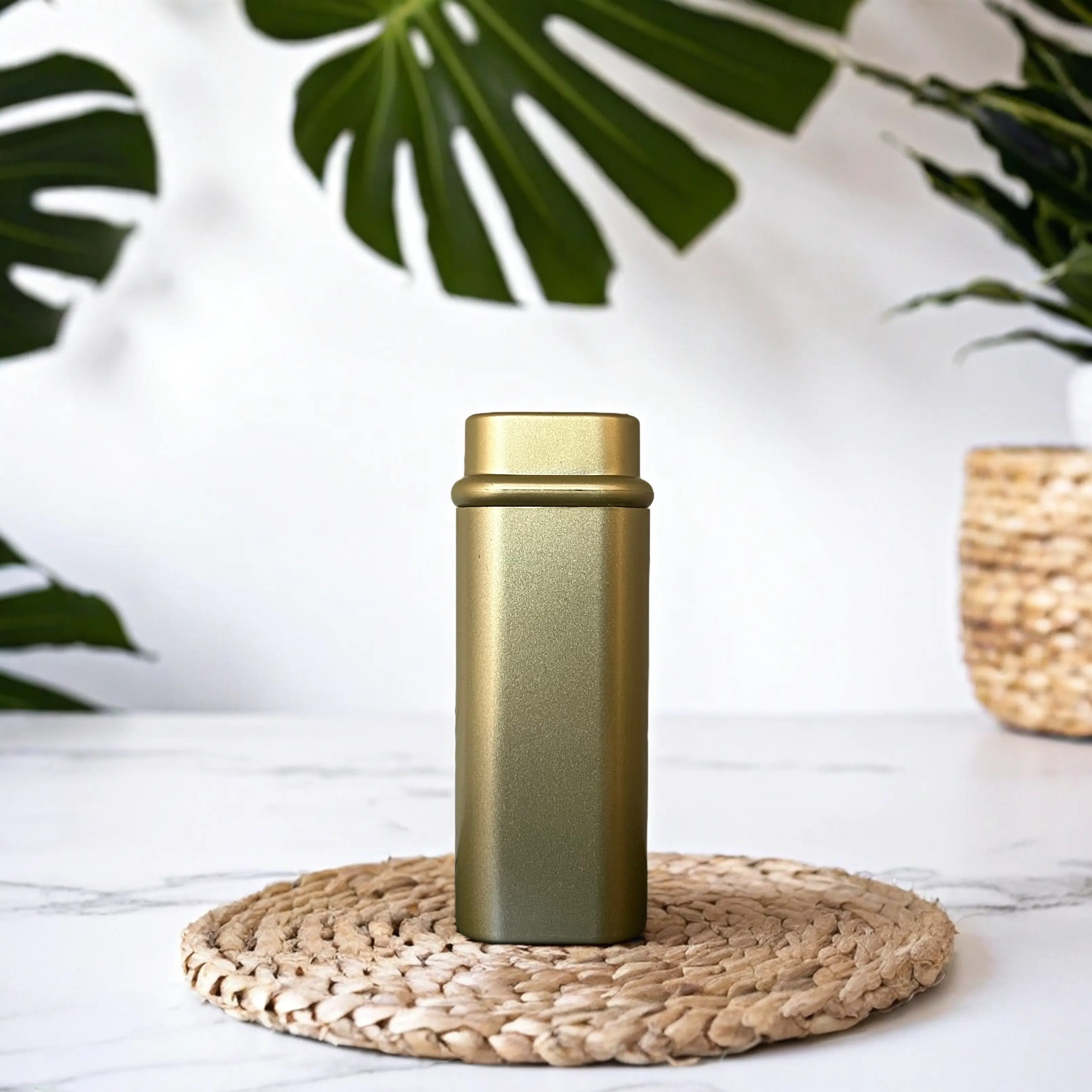 An indoor template for product photo editing with an attractive plant design.